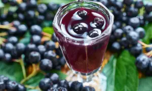 Aronia w kieliszku, otoczona świeżymi owocami i liśćmi. To nalewka z aronii przepis babci, pełna smaku i zdrowia.