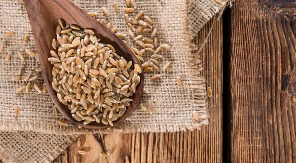 Drewniana łyżka pełna ziaren orkiszu na płótnie. Czy mąka orkiszowa ma gluten? Tak, orkisz zawiera gluten.