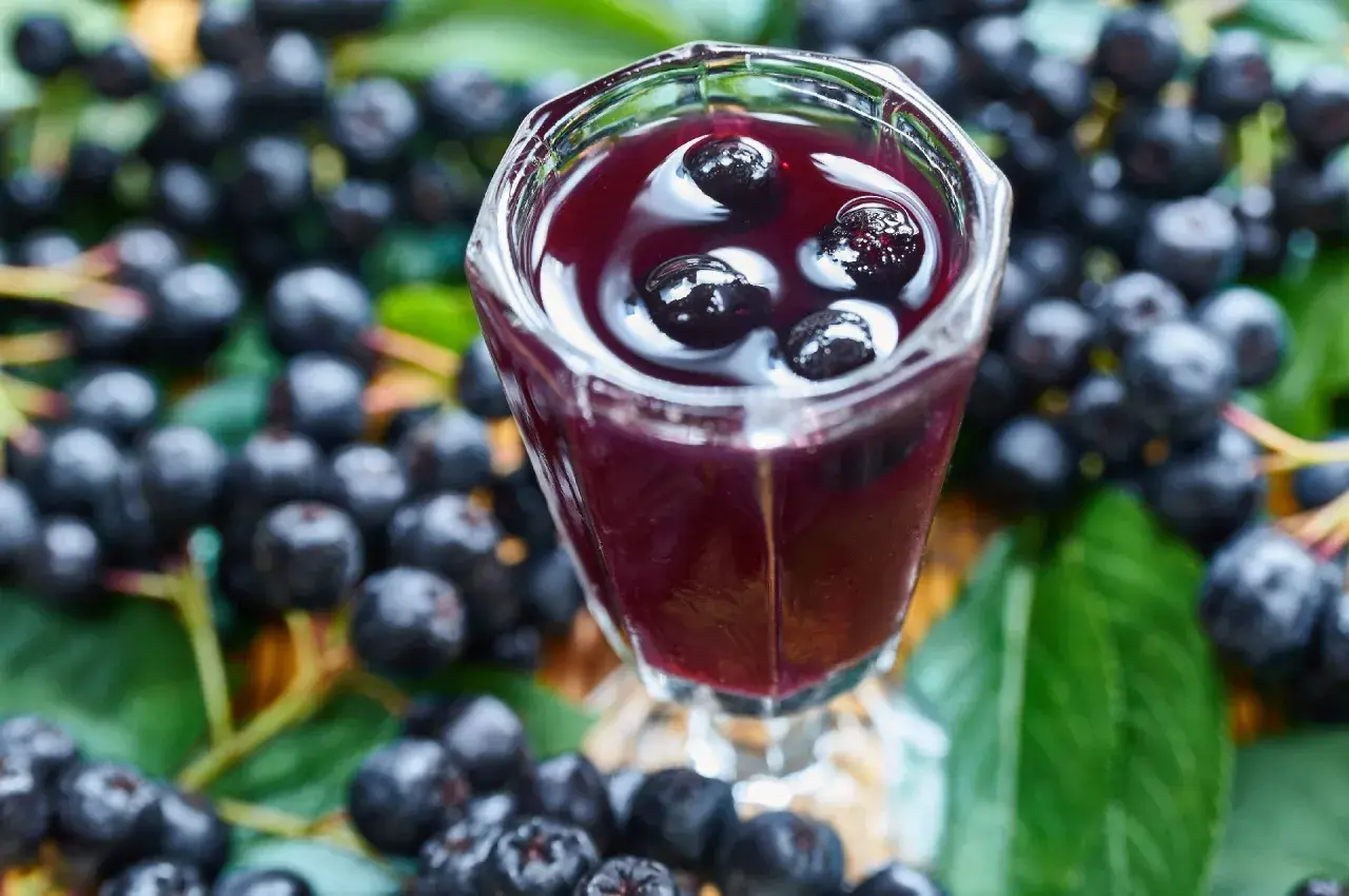 Aronia w kieliszku, otoczona świeżymi owocami i liśćmi. To nalewka z aronii przepis babci, pełna smaku i zdrowia.