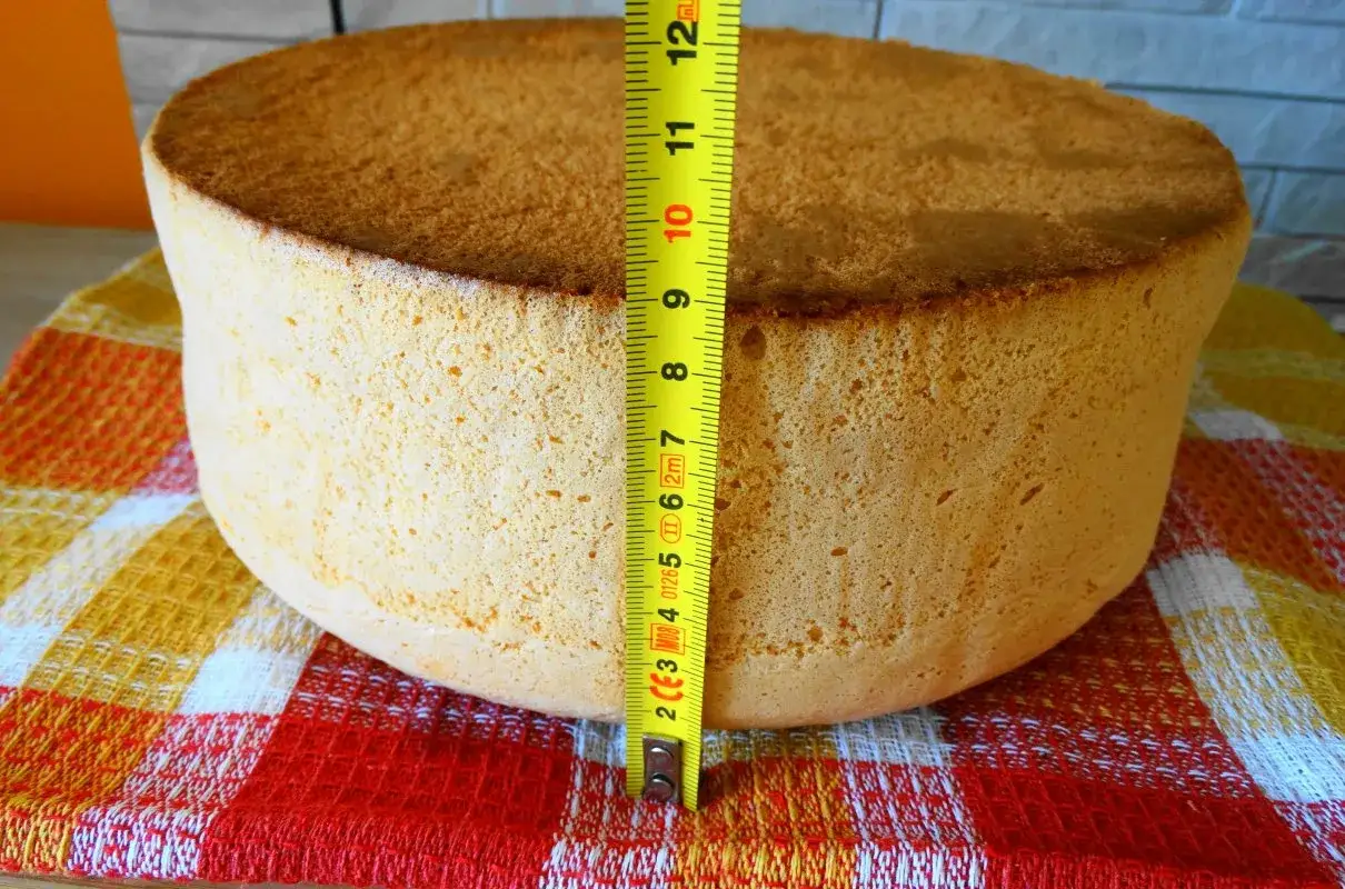 Puszysty biszkopt z 10 jaj, wysoki na ok. 9 cm, mierzone miarką. Idealny do tortu.