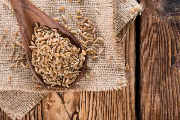 Drewniana łyżka pełna ziaren orkiszu na płótnie. Czy mąka orkiszowa ma gluten? Tak, orkisz zawiera gluten.